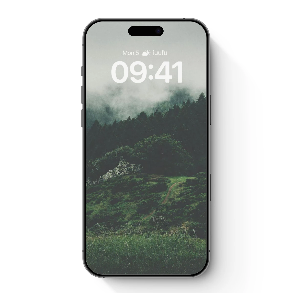 Misty Mountain Path: A Journey Through Fog and Forest