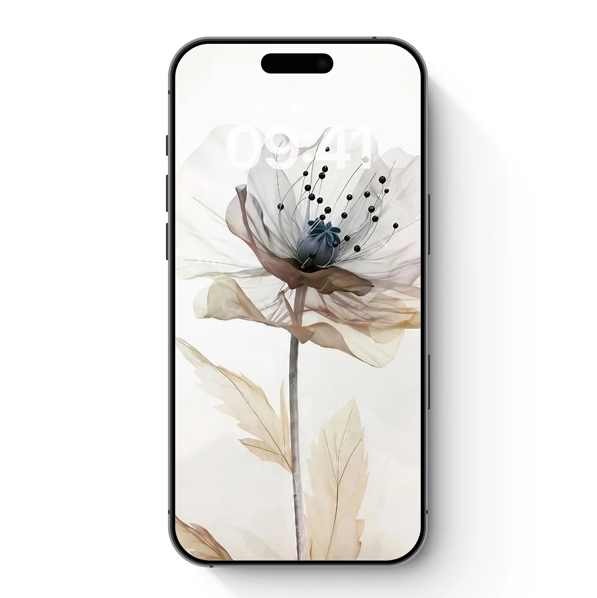 Ethereal Bloom: Transparent Petals in Monochrome Harmony