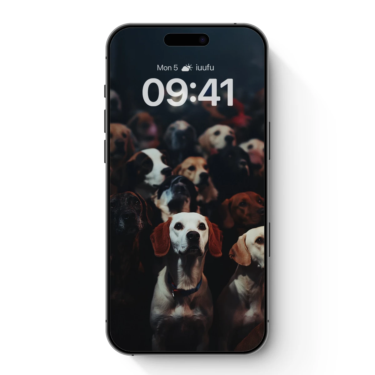 Canine Symphony: A Gathering of Gaze