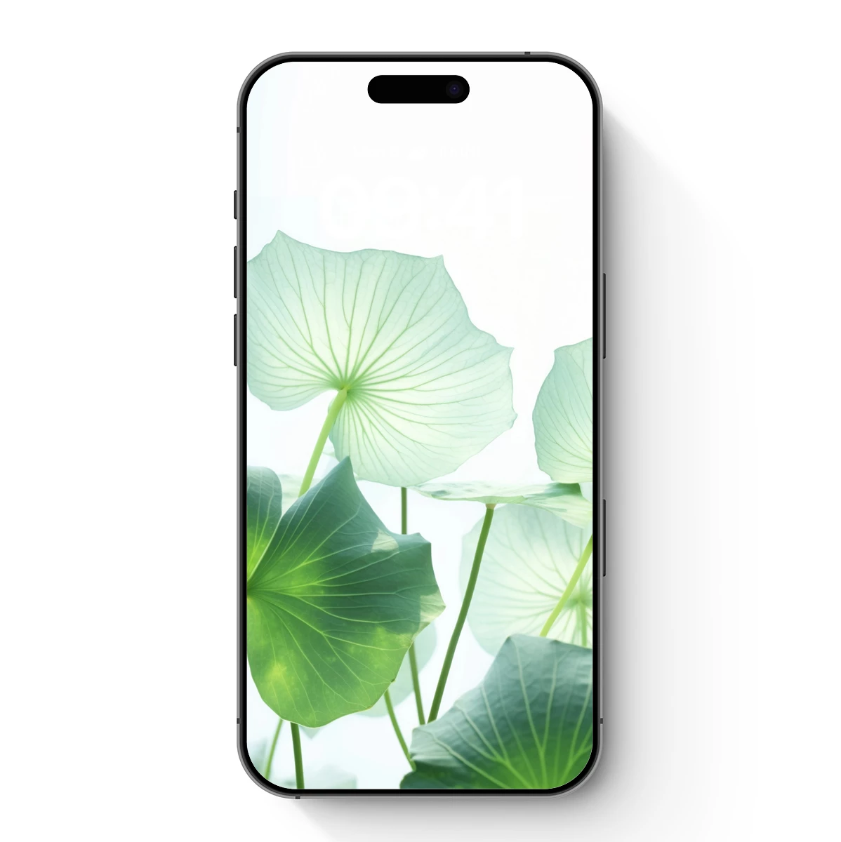 Ethereal Lotus Leaves in Soft Light