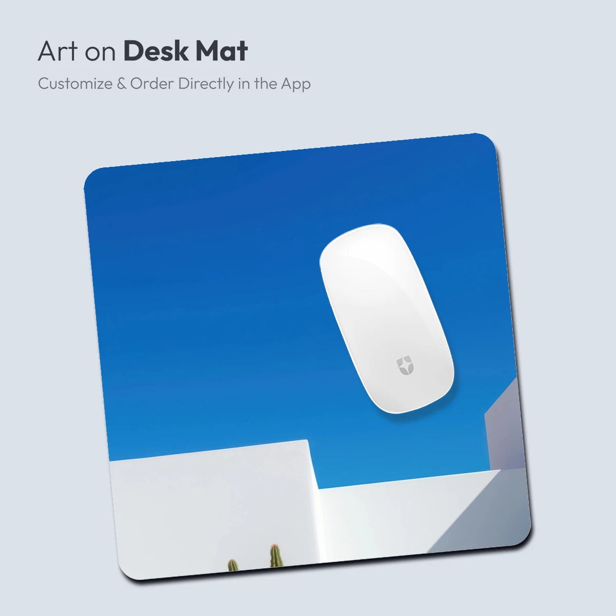 Cacti in Minimalist White Oasis - Image 4