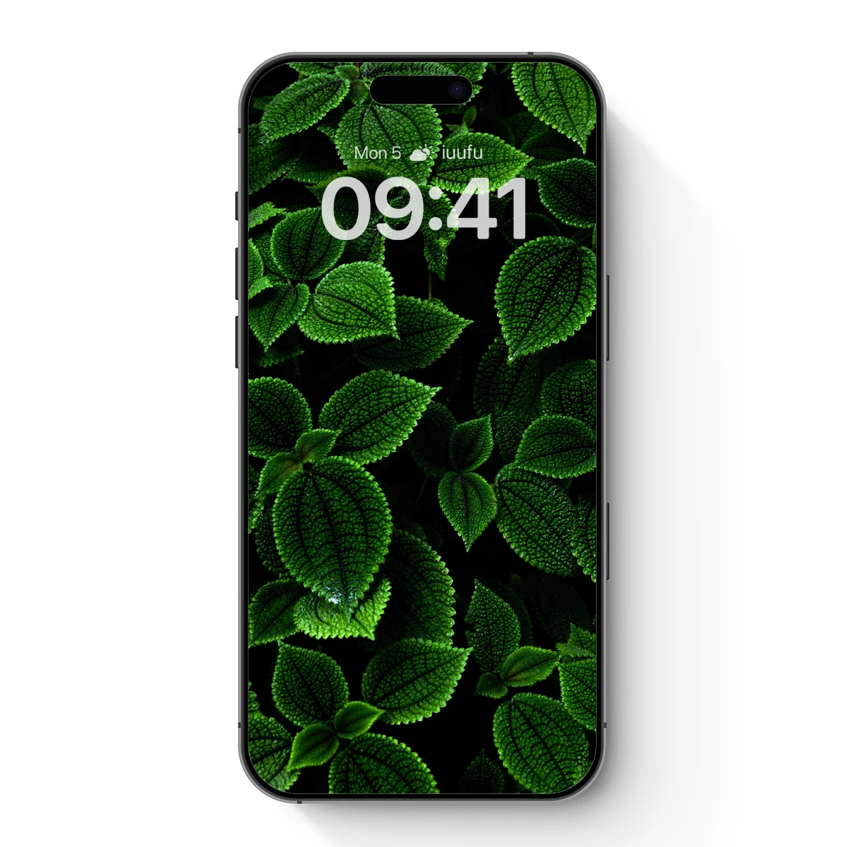 Luminous Green Leaves: Nature's Velvet Tapestry