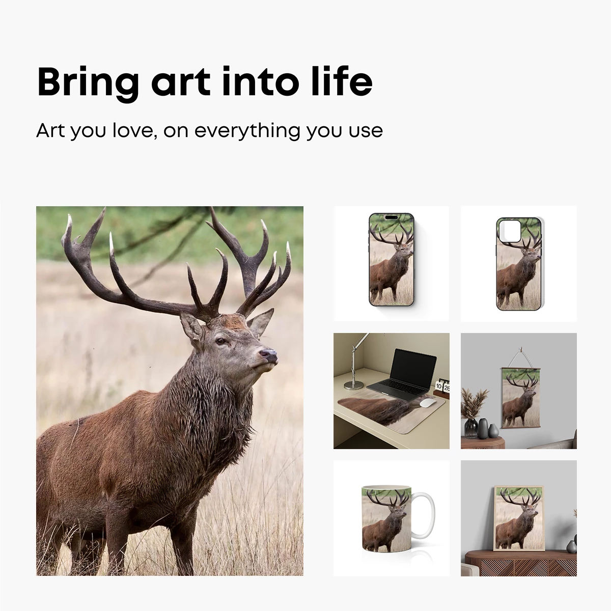Majestic Stag in Golden Grassland Majestic Stag in Golden Grassland