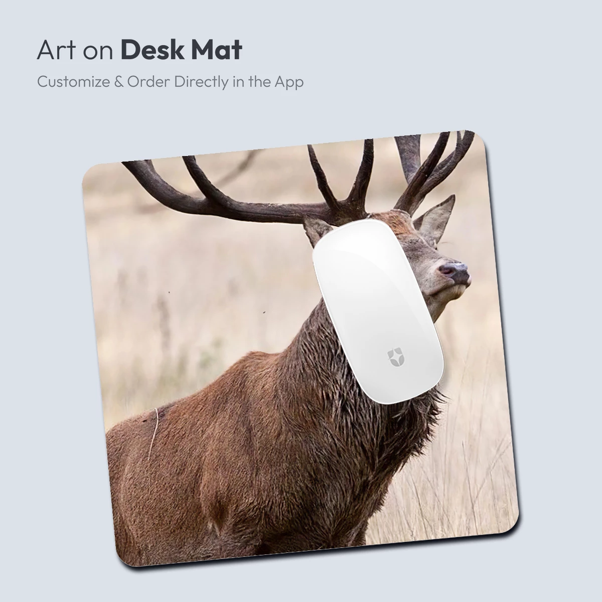 Majestic Stag in Golden Grassland - Image 3