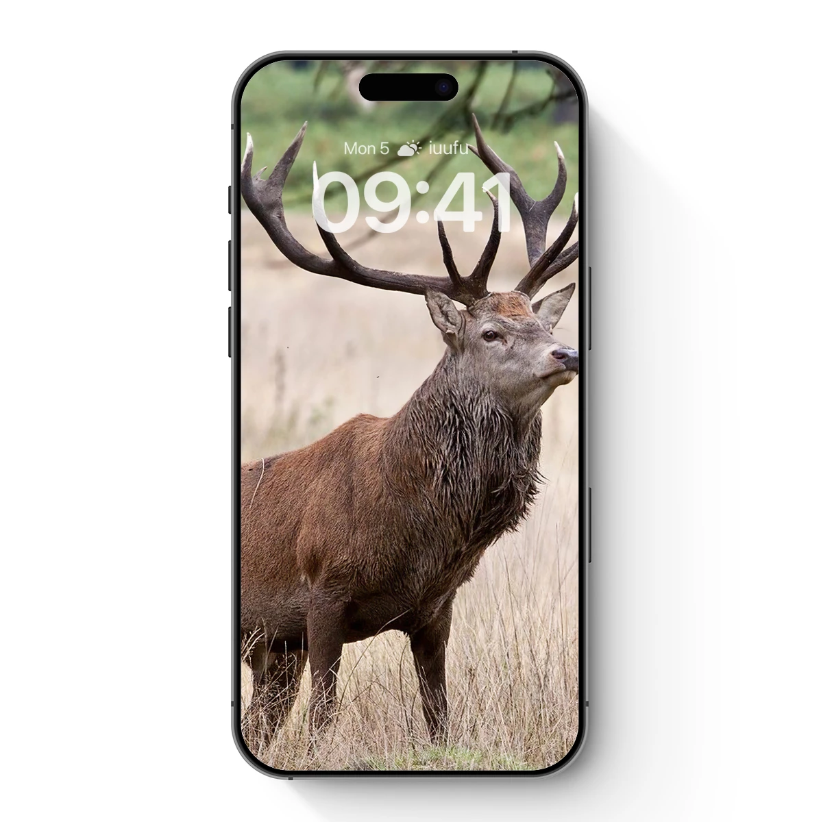 Majestic Stag in Golden Grassland - Image 7