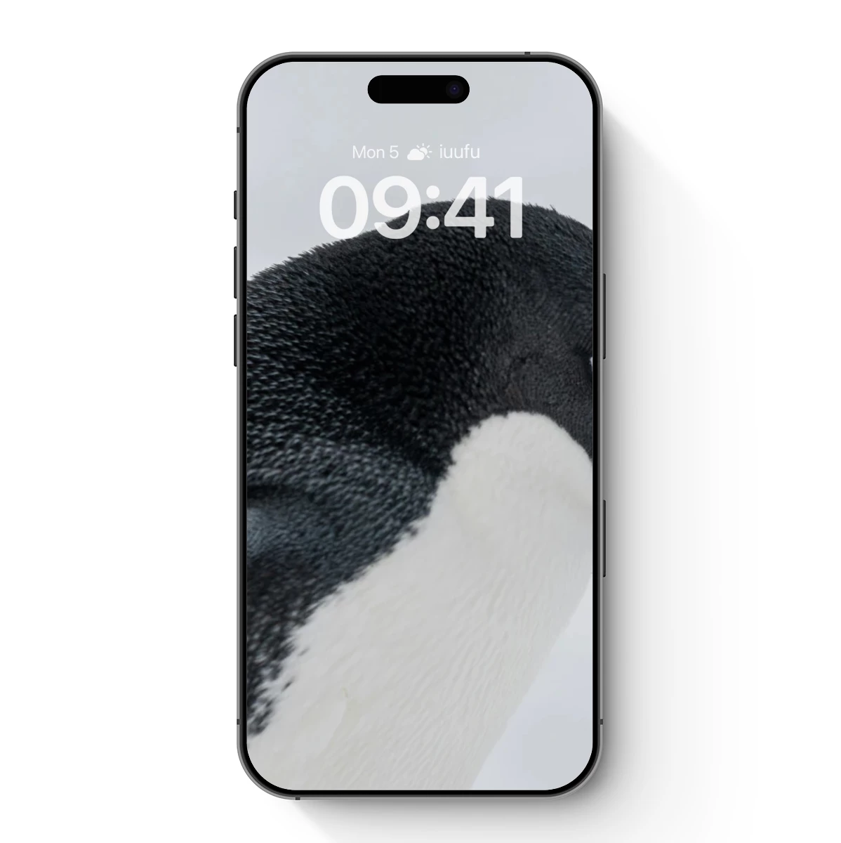 Adélie Penguin in Snowy Serenity