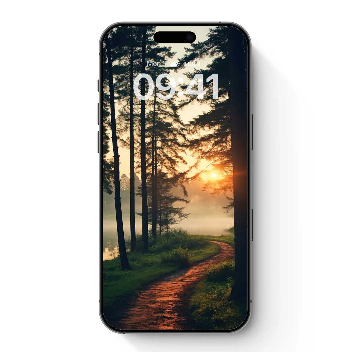 Golden Dawn in the Misty Forest