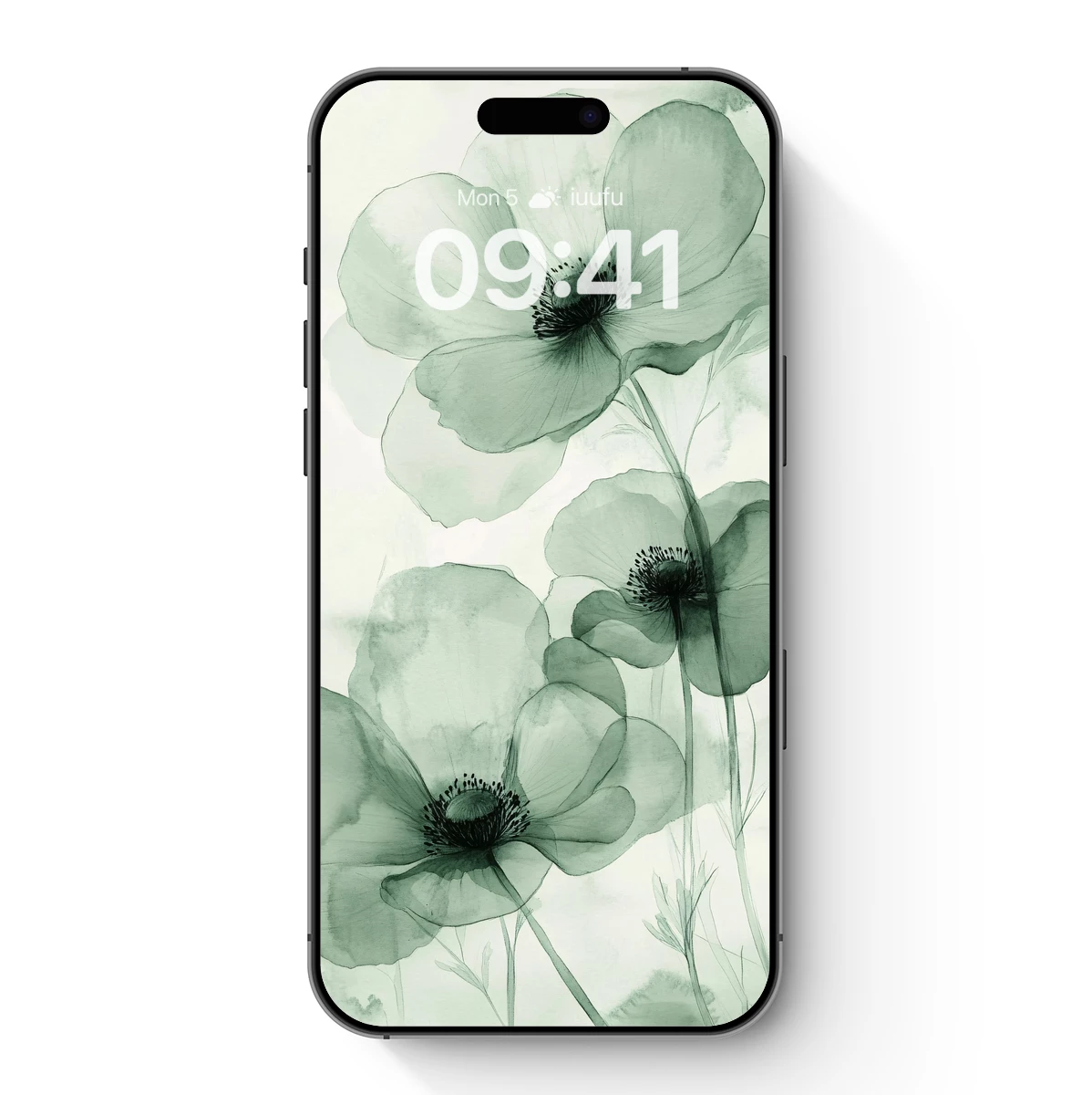 Ethereal Anemones in Monochrome