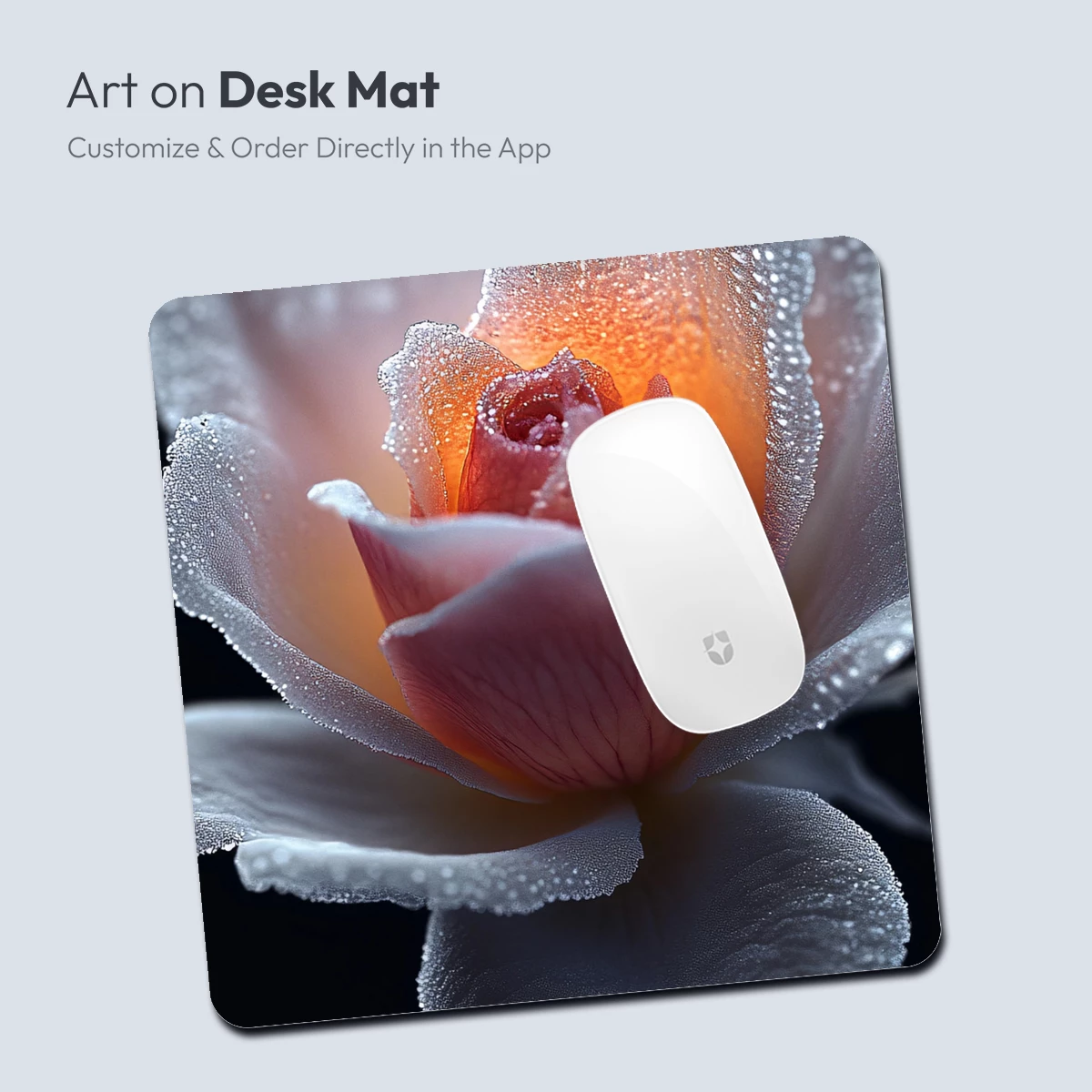 Frost-Kissed Rose: Dawn's Delicate Embrace - Image 3