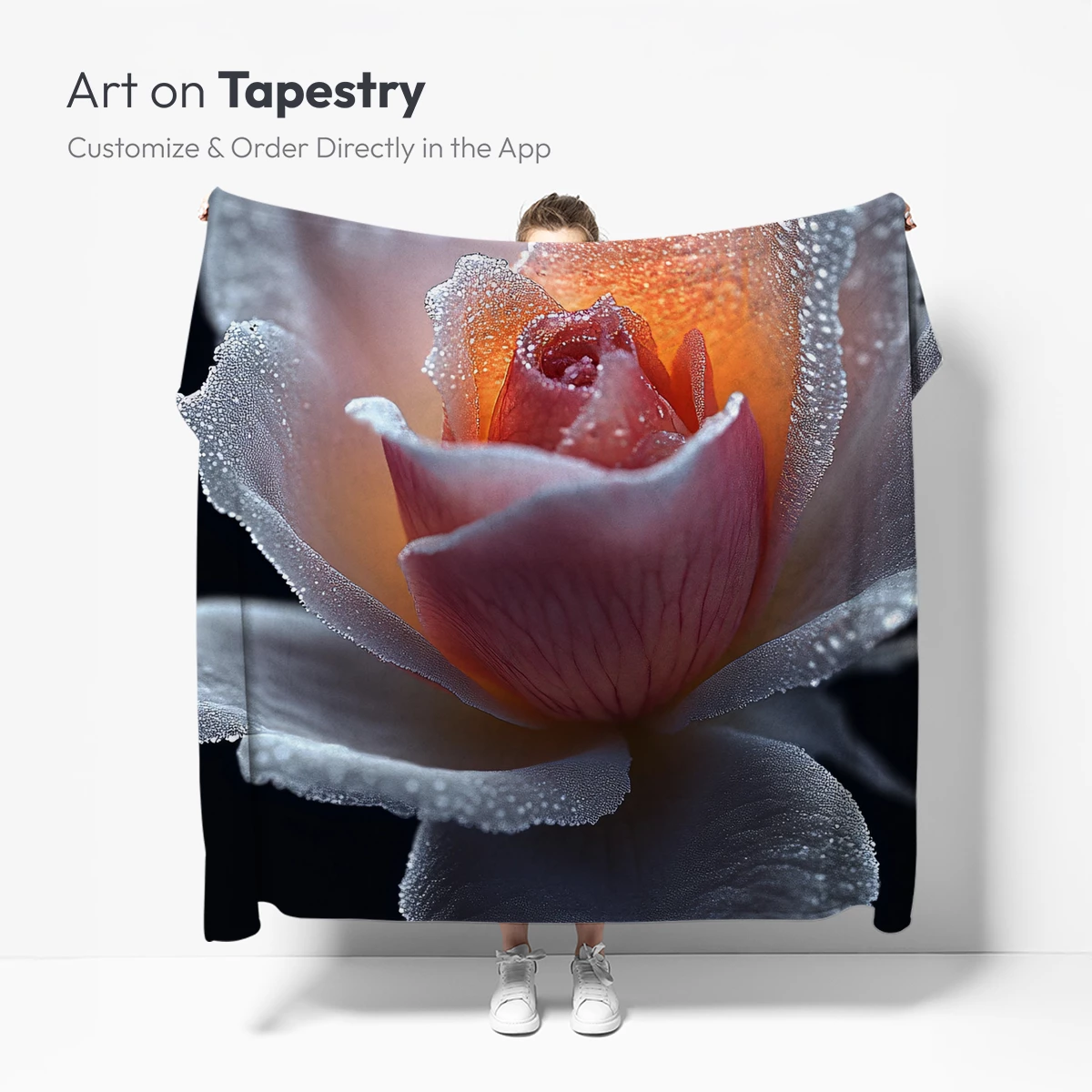 Frost-Kissed Rose: Dawn's Delicate Embrace - Image 4