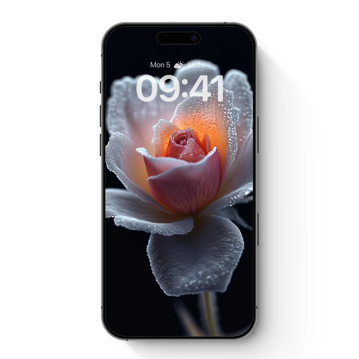 Frost-Kissed Rose: Dawn's Delicate Embrace - Image 7