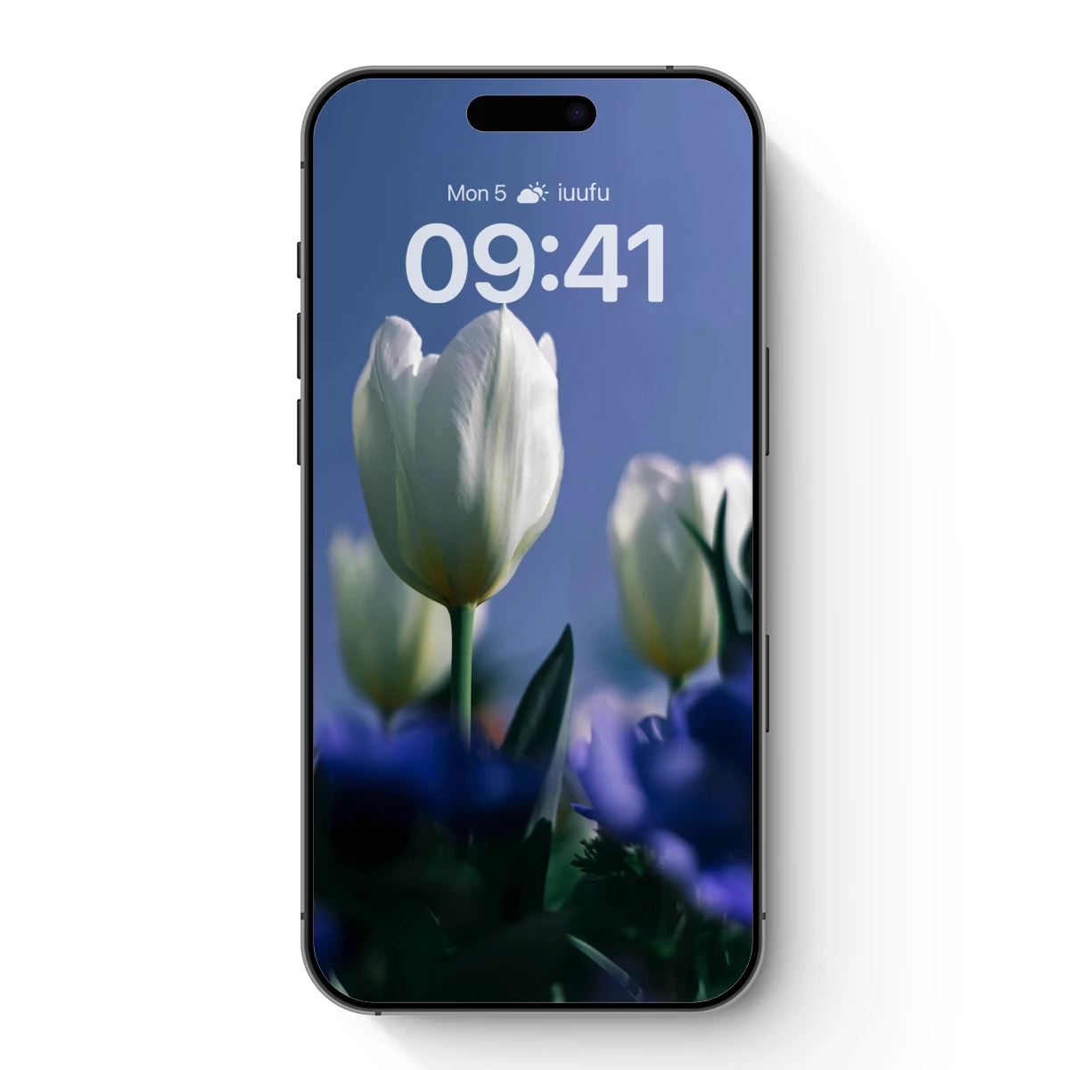 Elegant Tulips in Soft Focus