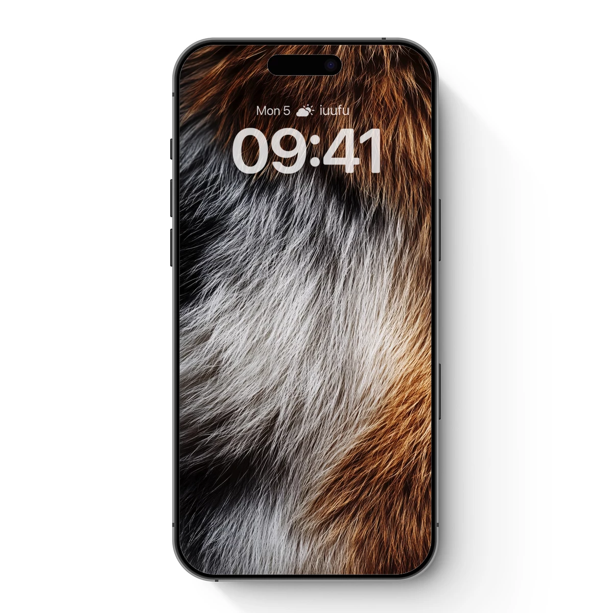 Fur Symphony: Textural Harmony in Nature's Palette