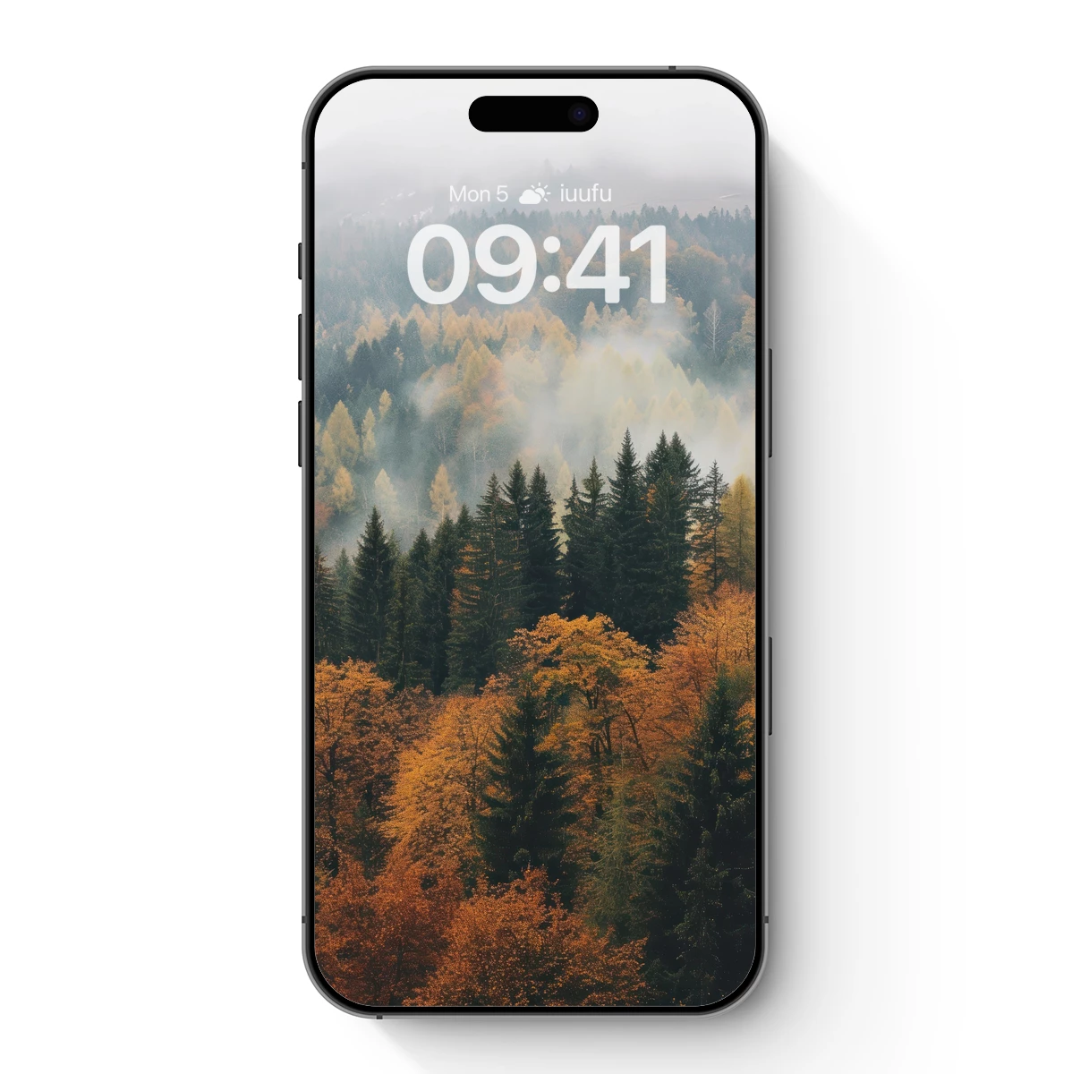 Autumn Mist: A Forest Symphony in Hues and Fog