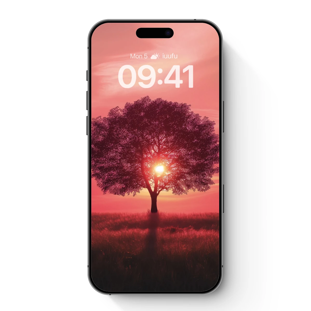 Sunlit Solitude: Tree Against a Crimson Sky