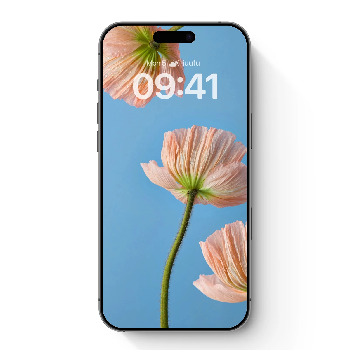 Ethereal Peach Poppies Against Blue Sky Ethereal Peach Poppies Against Blue Sky