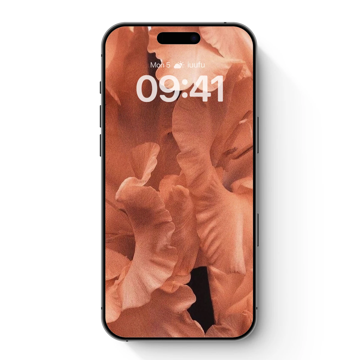 Coral Ruffle Elegance: Textured Petals in Bloom