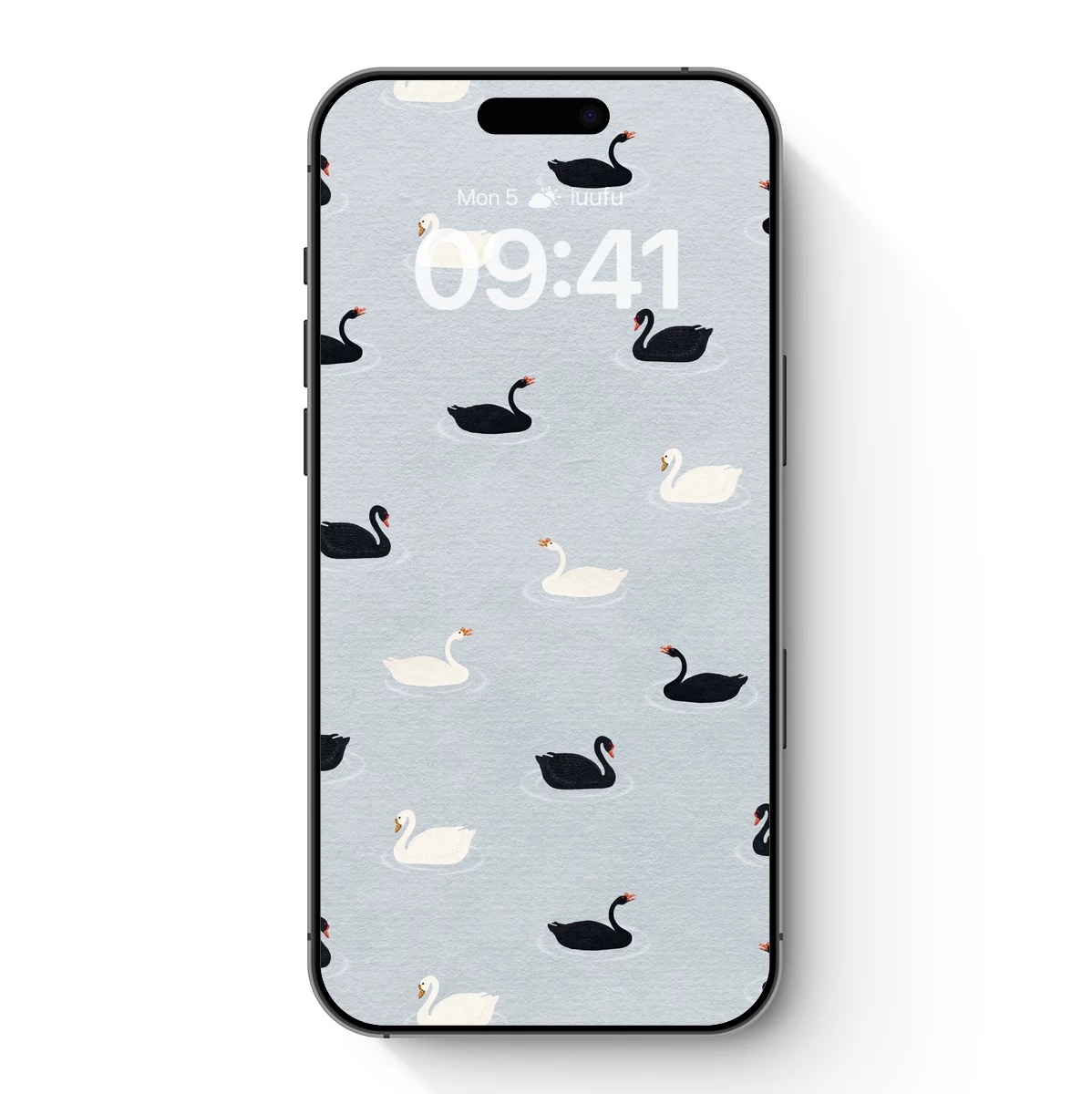 Elegant Swan Symphony: Black and White Harmony