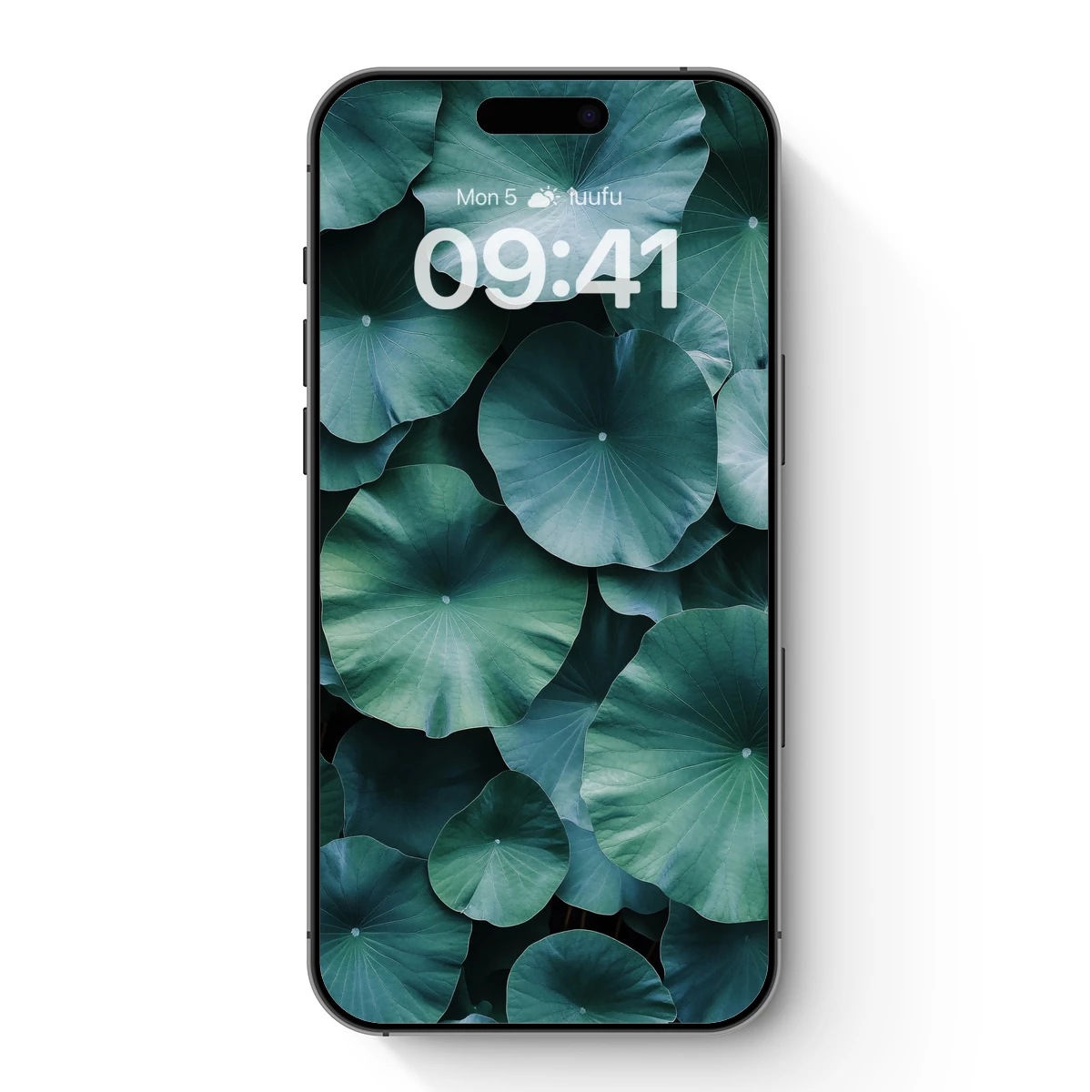 Emerald Lotus Canopy: Nature's Abstract Symphony