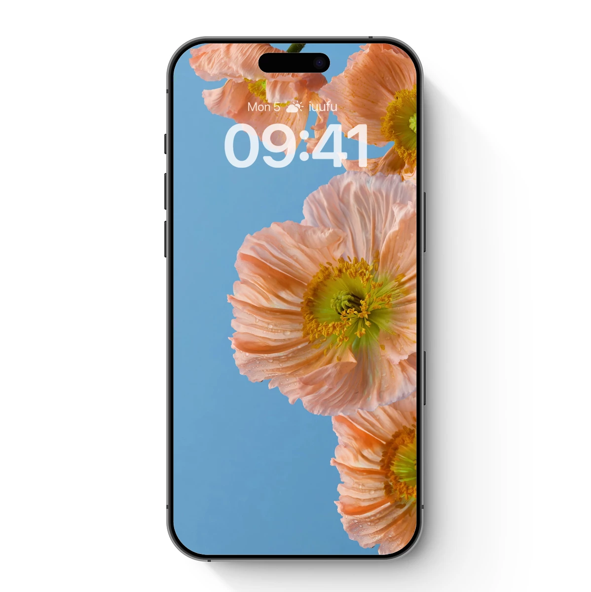 Blush Poppy Elegance Against Azure Sky Blush Poppy Elegance Against Azure Sky