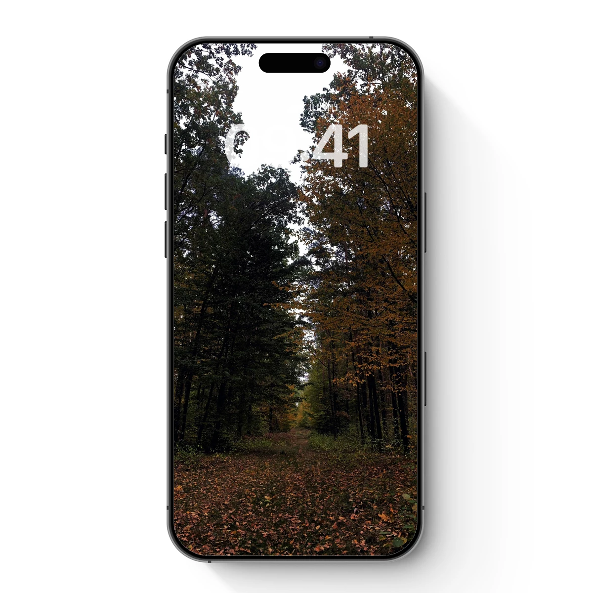 Autumn’s Whispering Path Autumn's Whispering Path