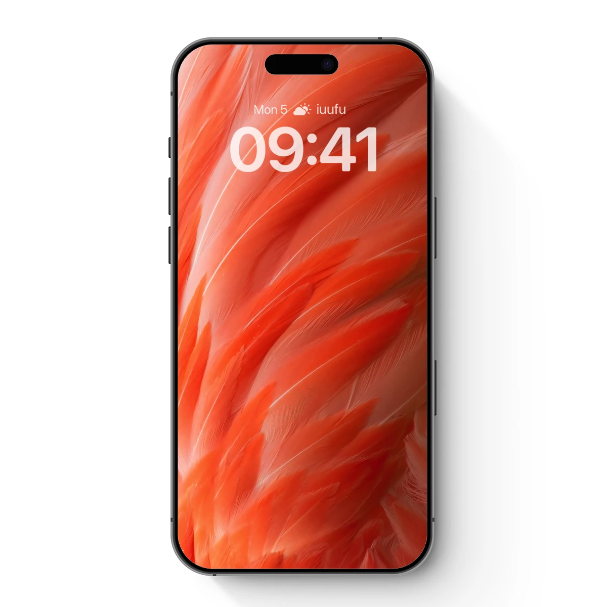 Crimson Feather Symphony