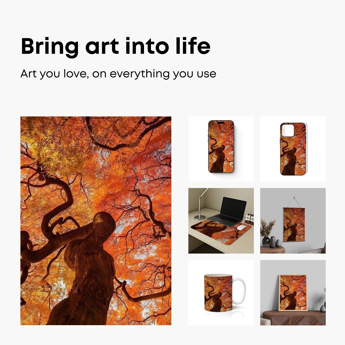 Autumn's Embrace: Twisted Tree in Fiery Canopy - Image 2