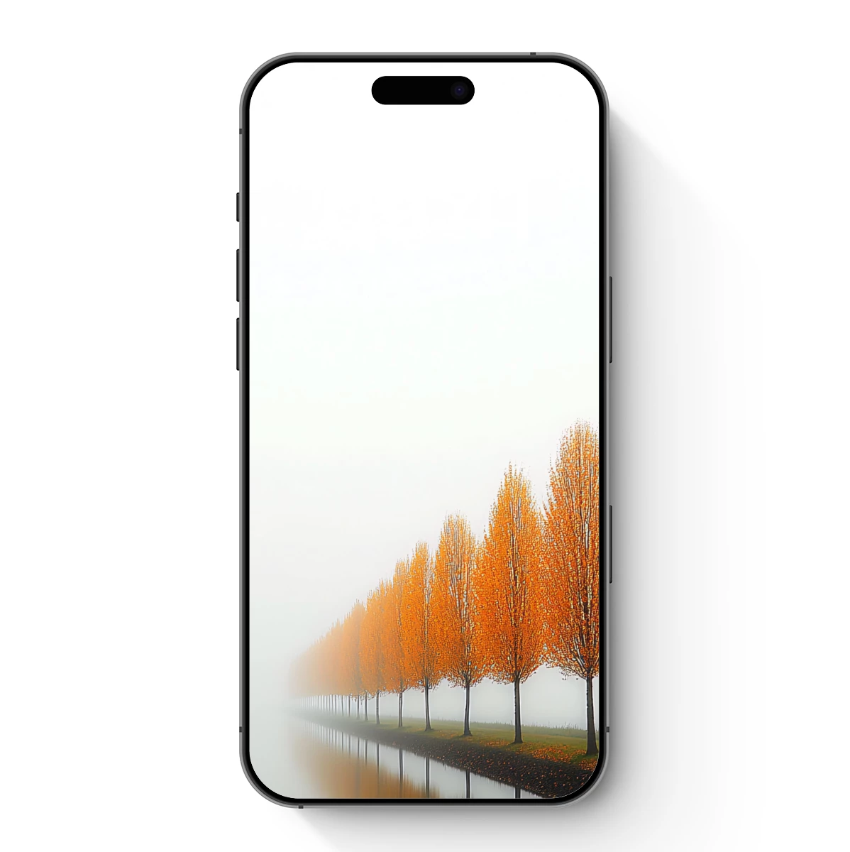 Foggy Autumn Avenue: Golden Trees Reflecting Eternity