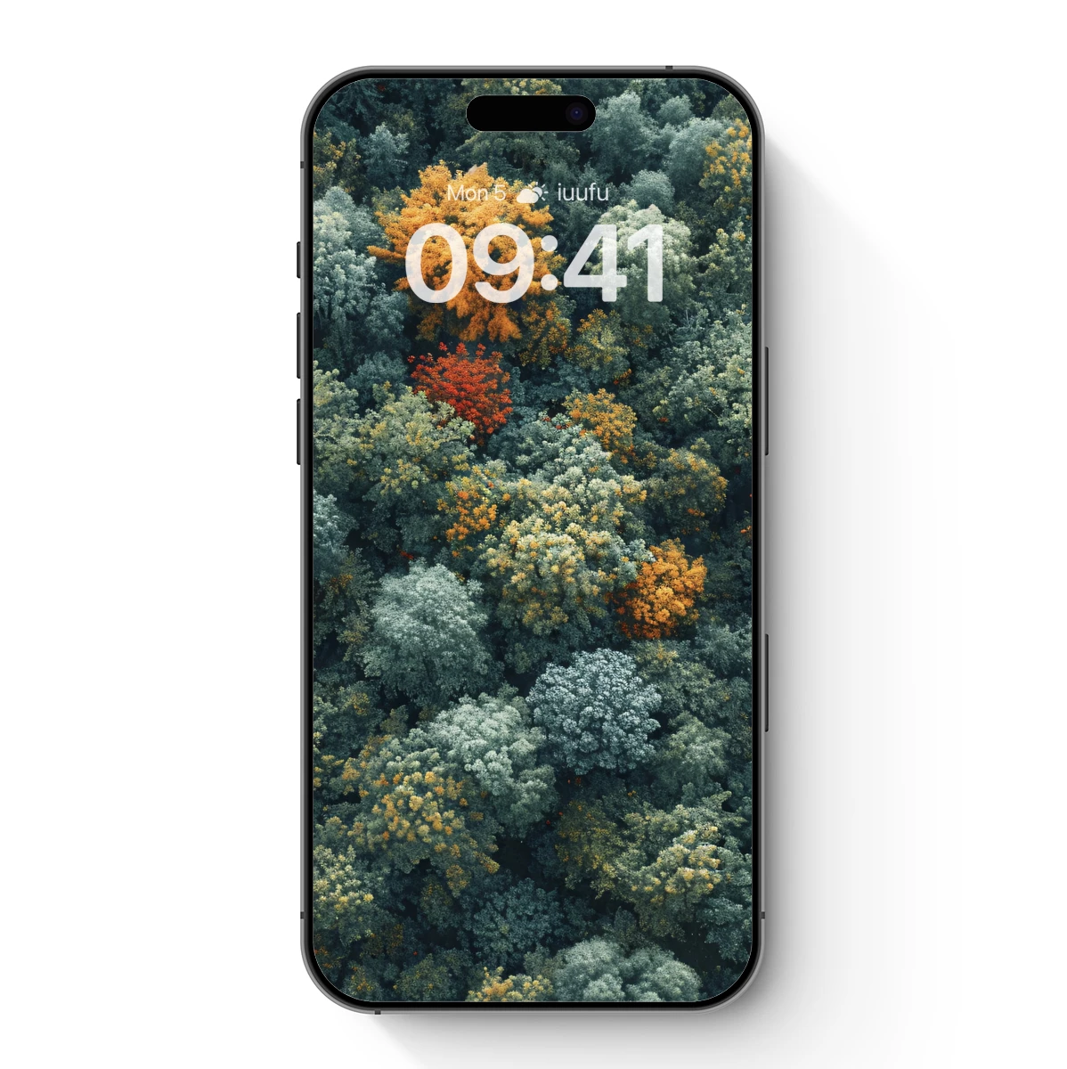 Autumn's Palette: A Forest Symphony