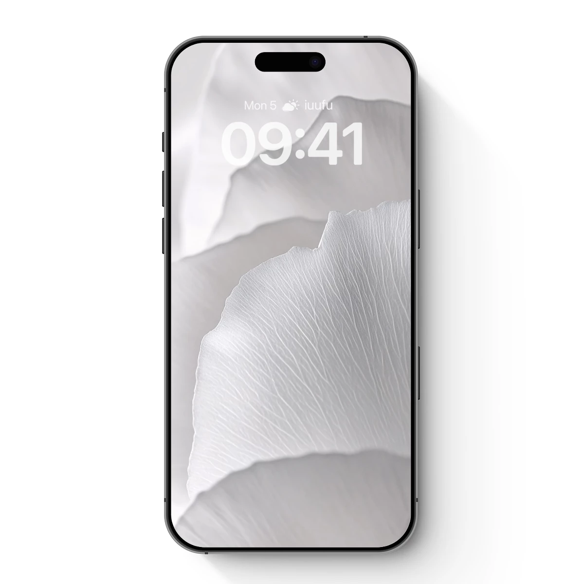 Ethereal White Petals: A Study in Delicate Texture