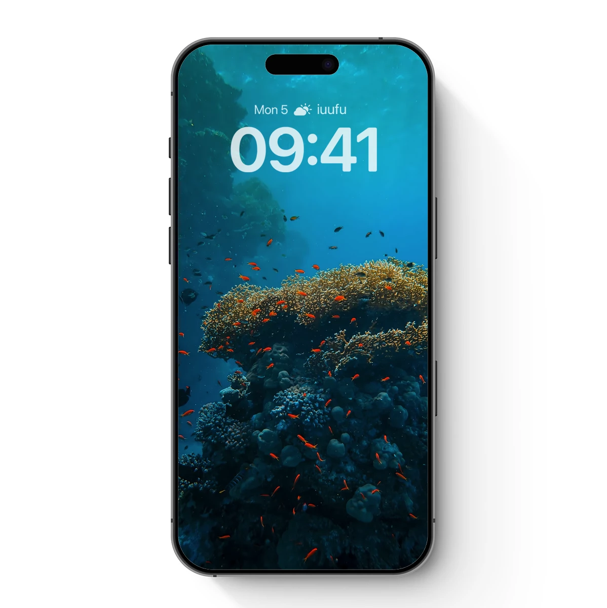 Coral Reef Symphony: Vibrant Fish Among Azure Depths