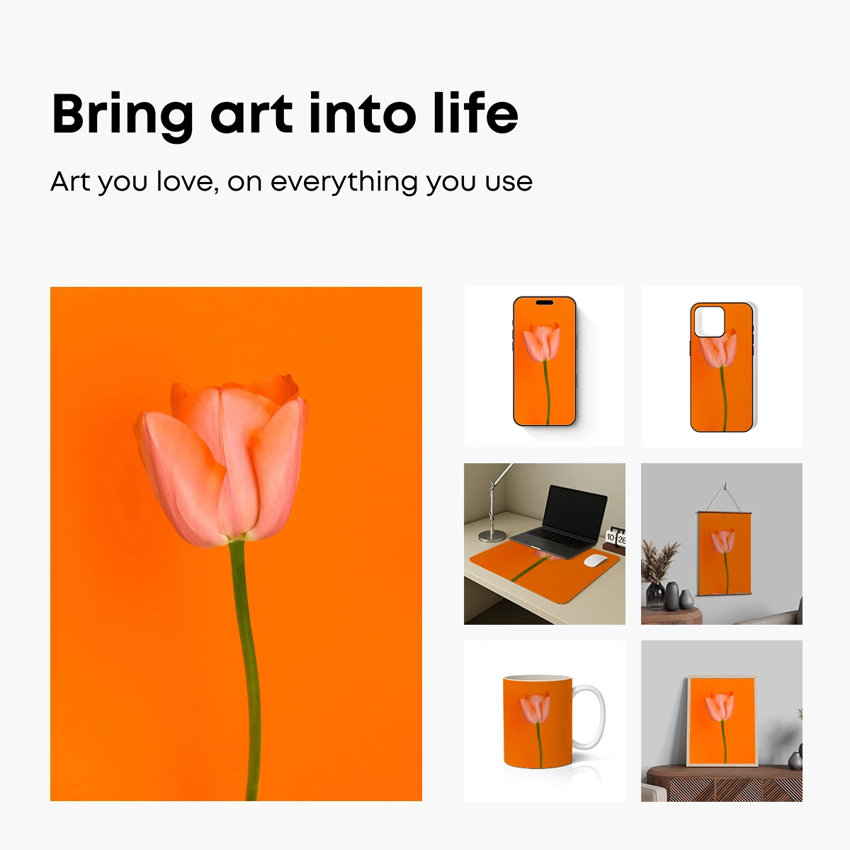 Coral Tulip Against Vibrant Orange