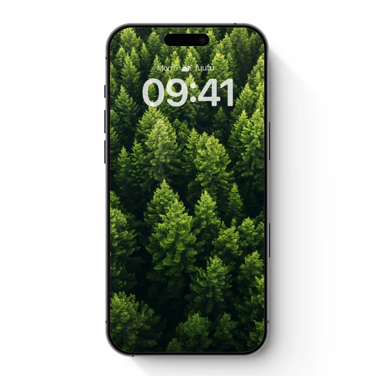 Aerial Forest Canopy: Lush Green Serenity