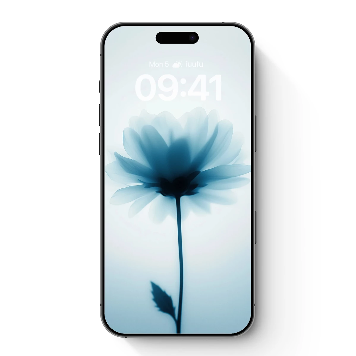 Ethereal Bloom: X-Ray Vision of a Flower