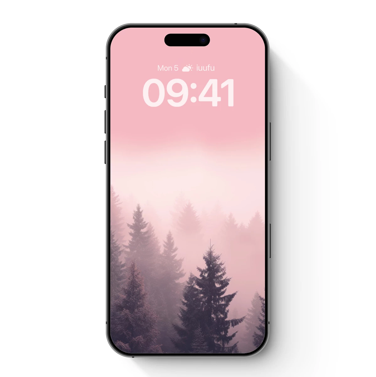 Misty Pink Dawn in the Pine Forest Misty Pink Dawn in the Pine Forest