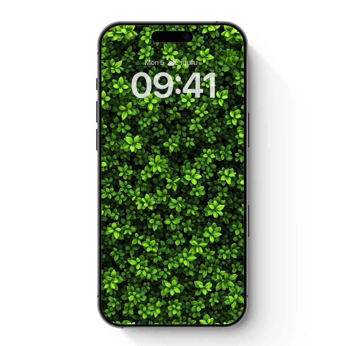 Lush Green Canopy: A Textured Forest Tapestry