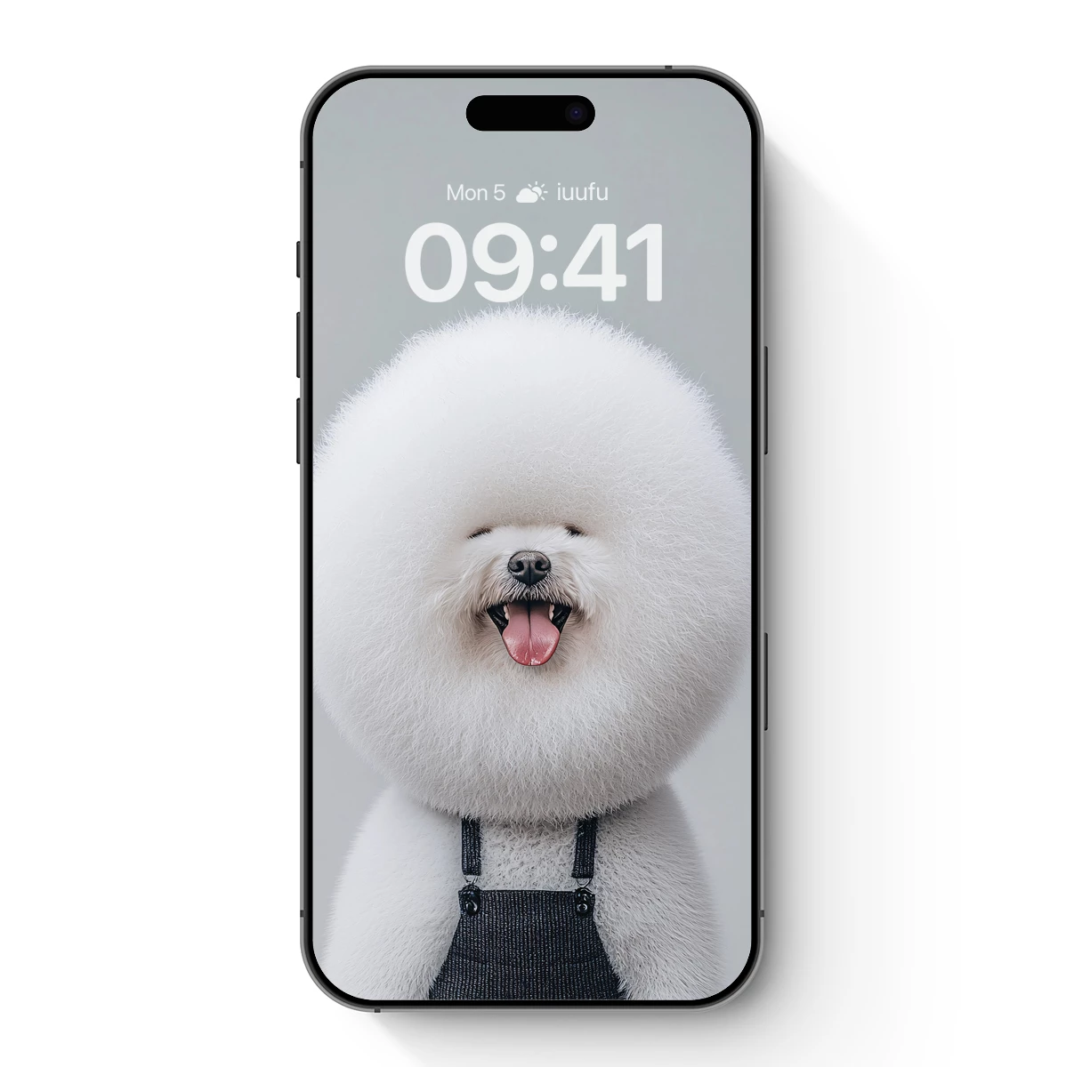 Fluffy Joy: Bichon Frise in Denim Overalls Fluffy Joy: Bichon Frise in Denim Overalls