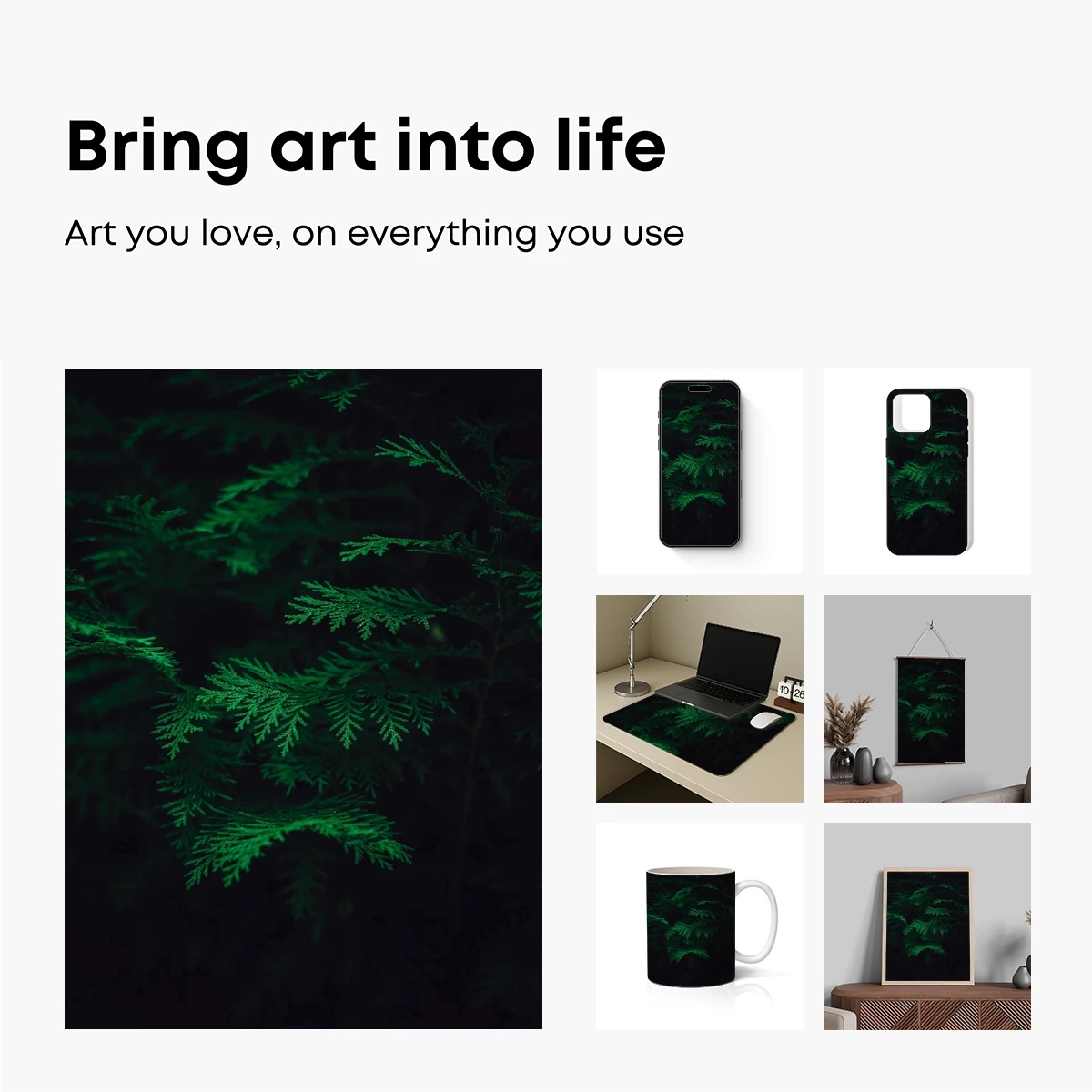 Luminous Ferns in Midnight Shadows