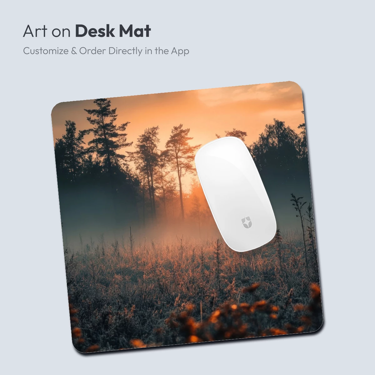 Golden Dawn in Misty Woods - Image 4