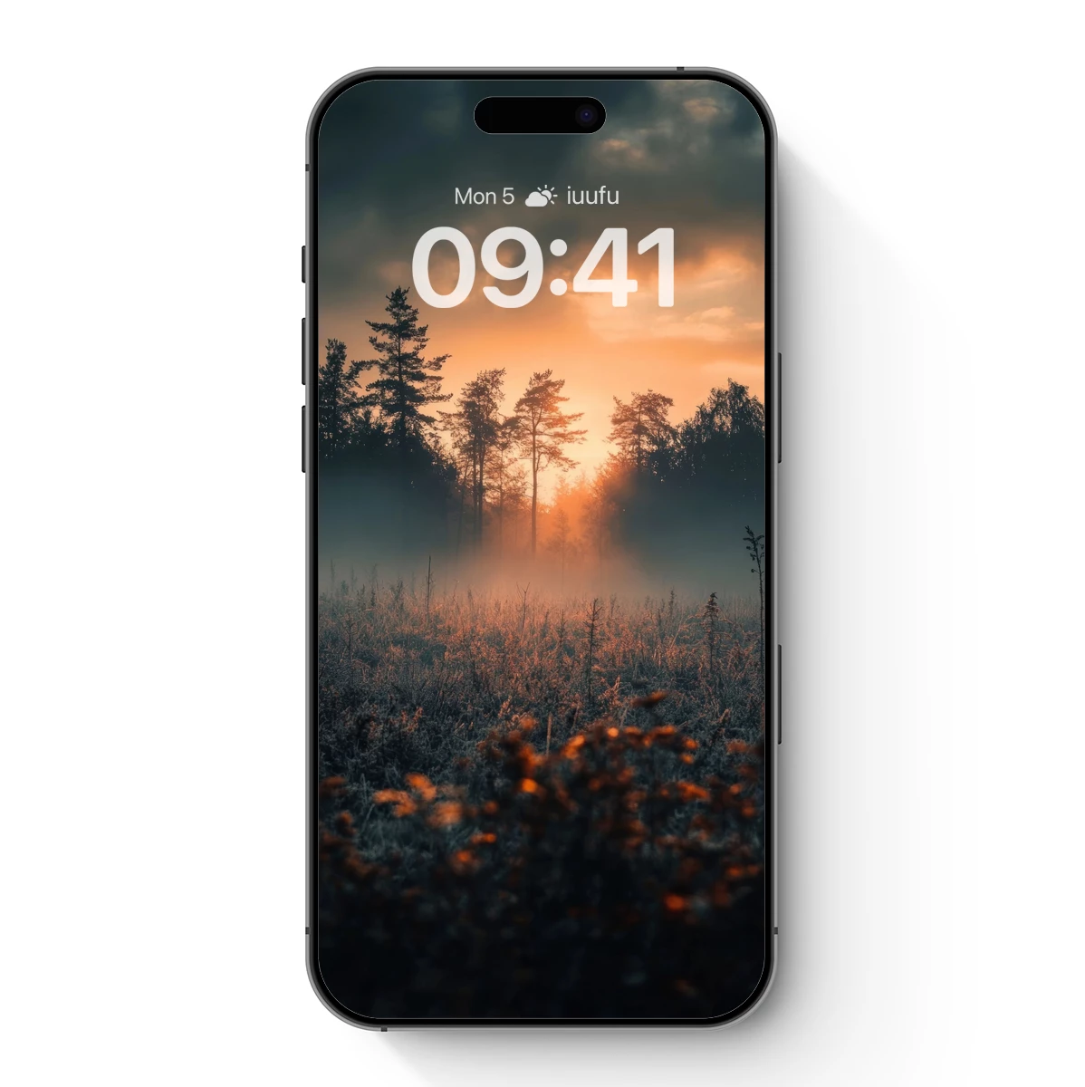 Golden Dawn in Misty Woods