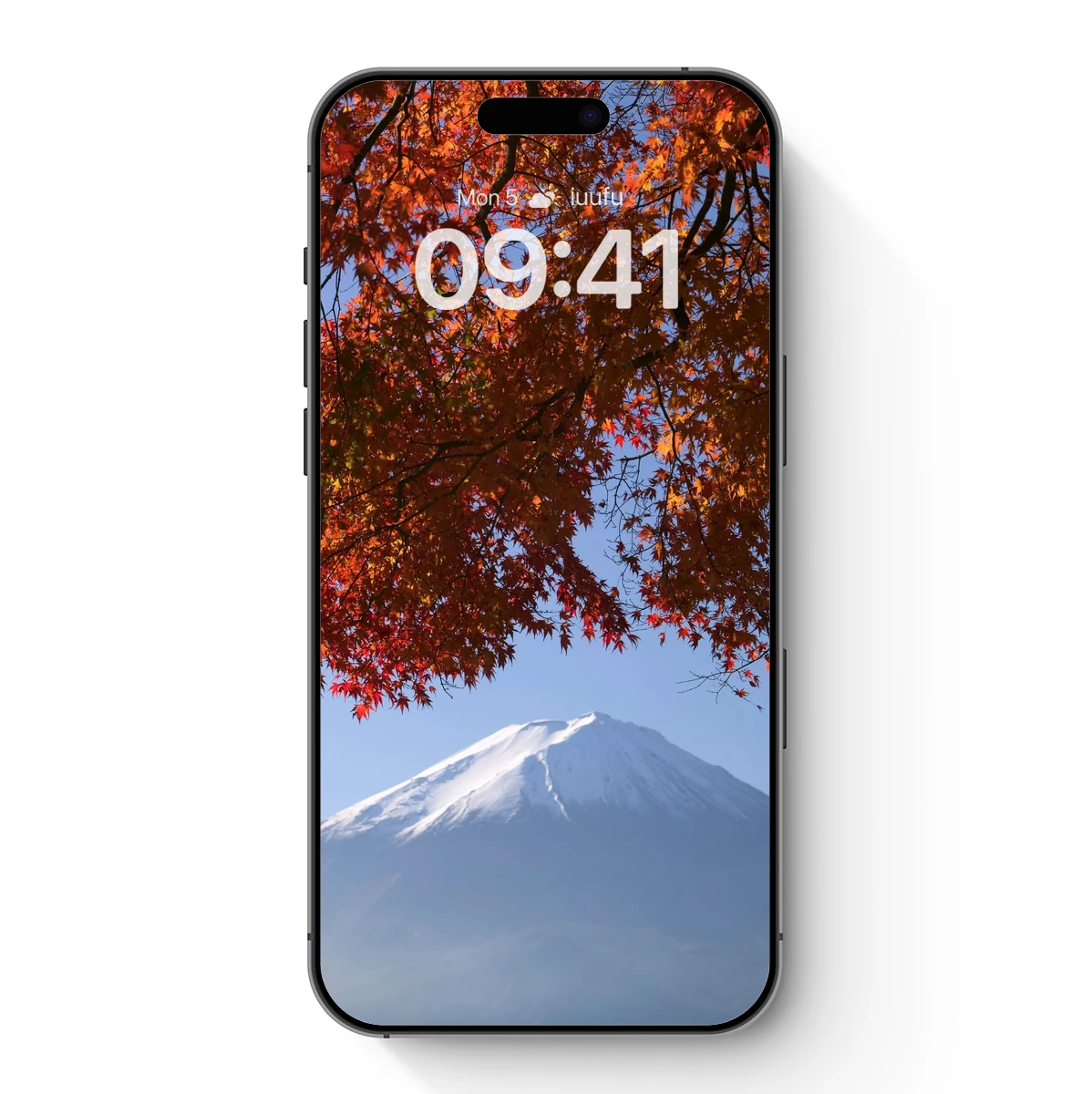 Autumn’s Embrace on Mount Fuji Autumn's Embrace on Mount Fuji