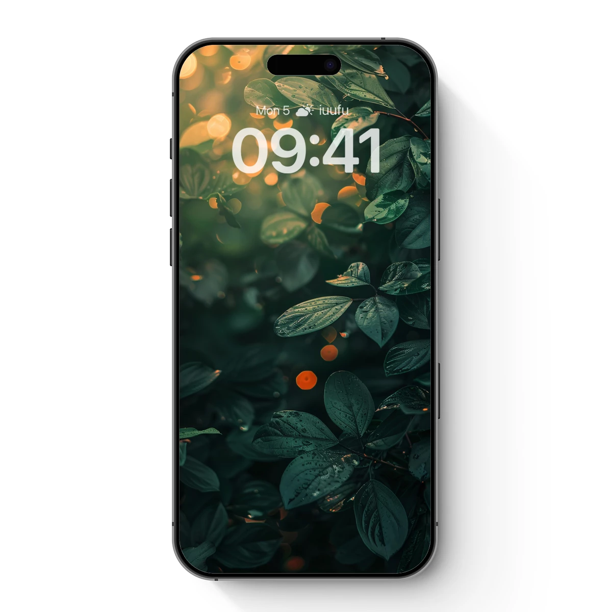 Enchanted Forest Glow: Dew-Kissed Leaves in Sunset Light