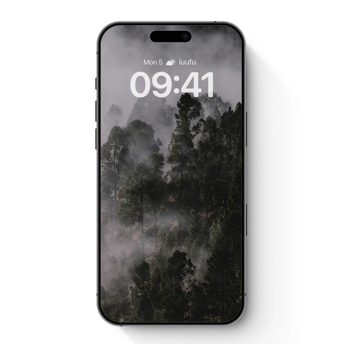 Misty Pine Forest: Veiled in Fog Misty Pine Forest: Veiled in Fog
