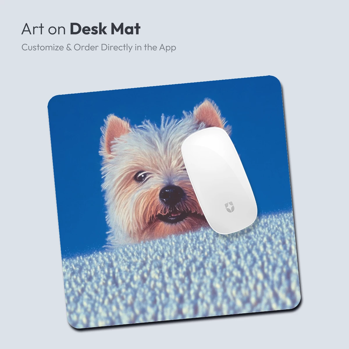 Fluffy Peek-a-Boo Pup Against Blue - Image 4