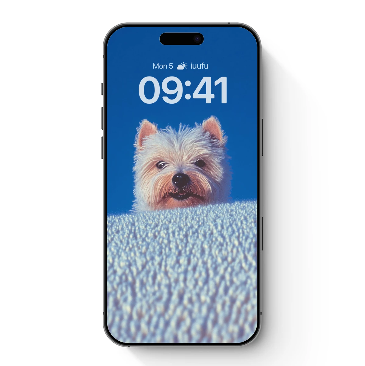 Fluffy Peek-a-Boo Pup Against Blue