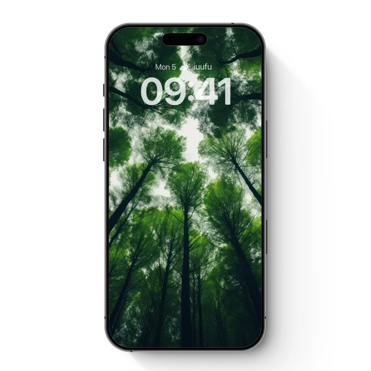 Forest Canopy: Towering Trees in Verdant Harmony