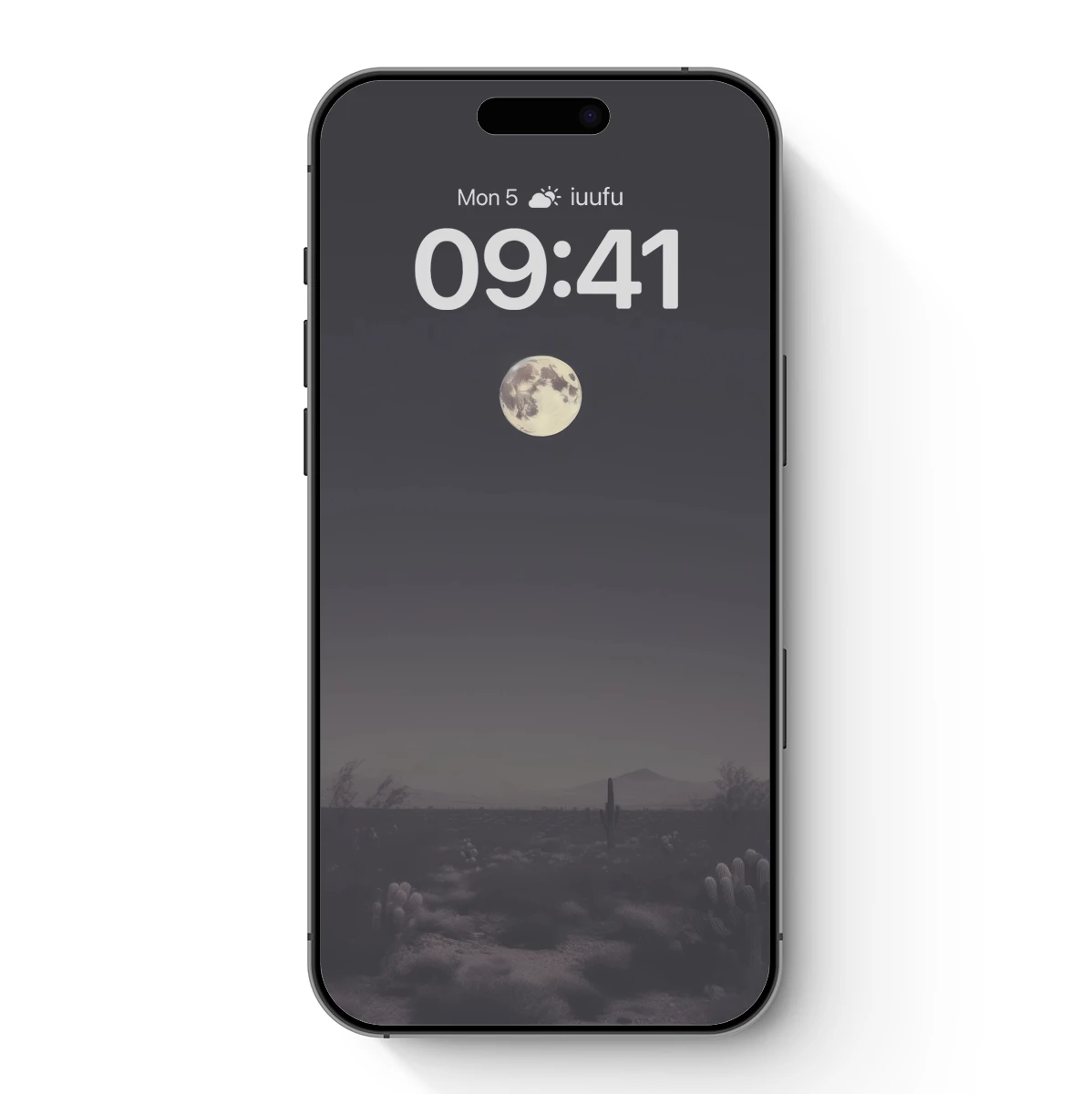 Desert Moonlight Serenade