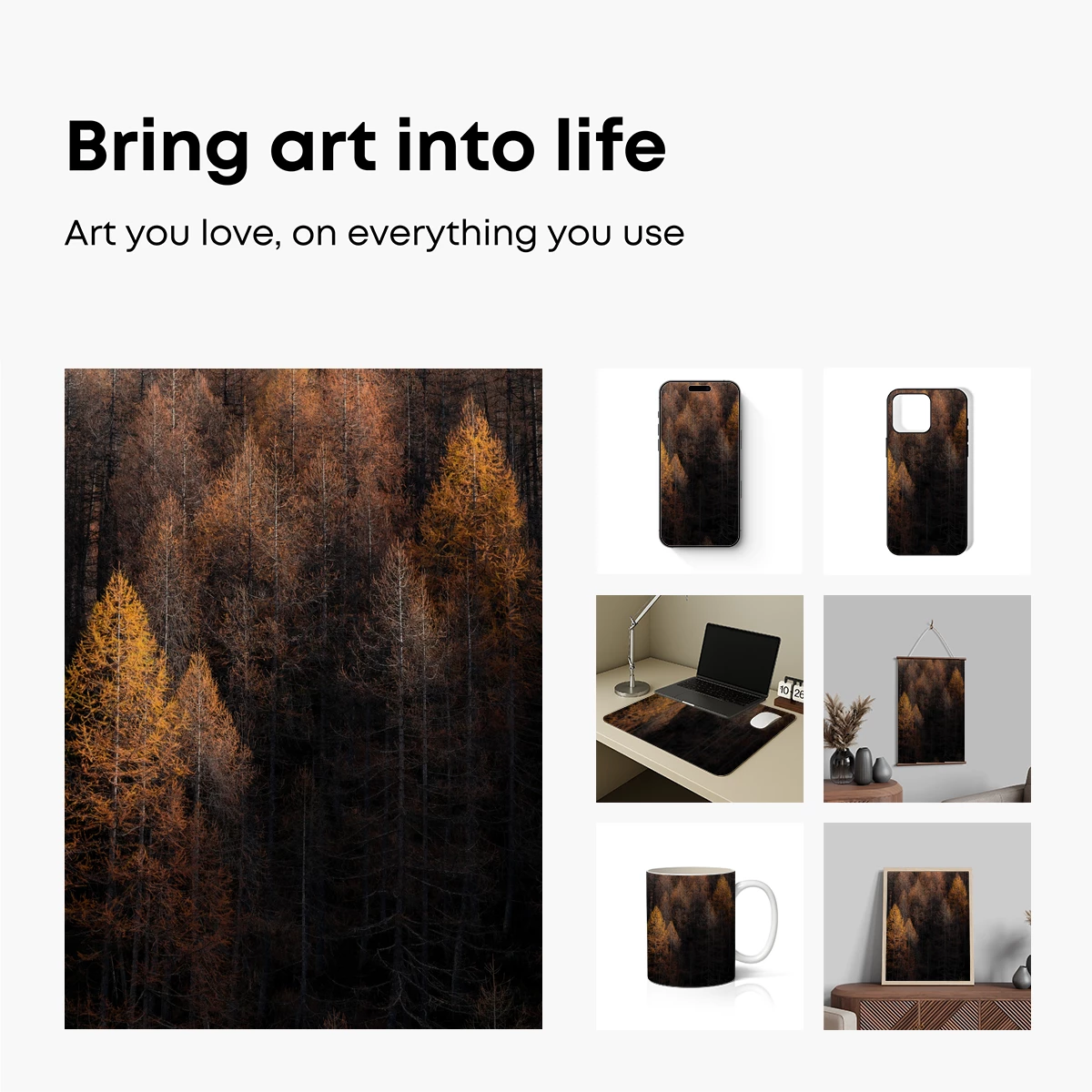 Autumnal Forest Symphony: Golden Hues and Shadows