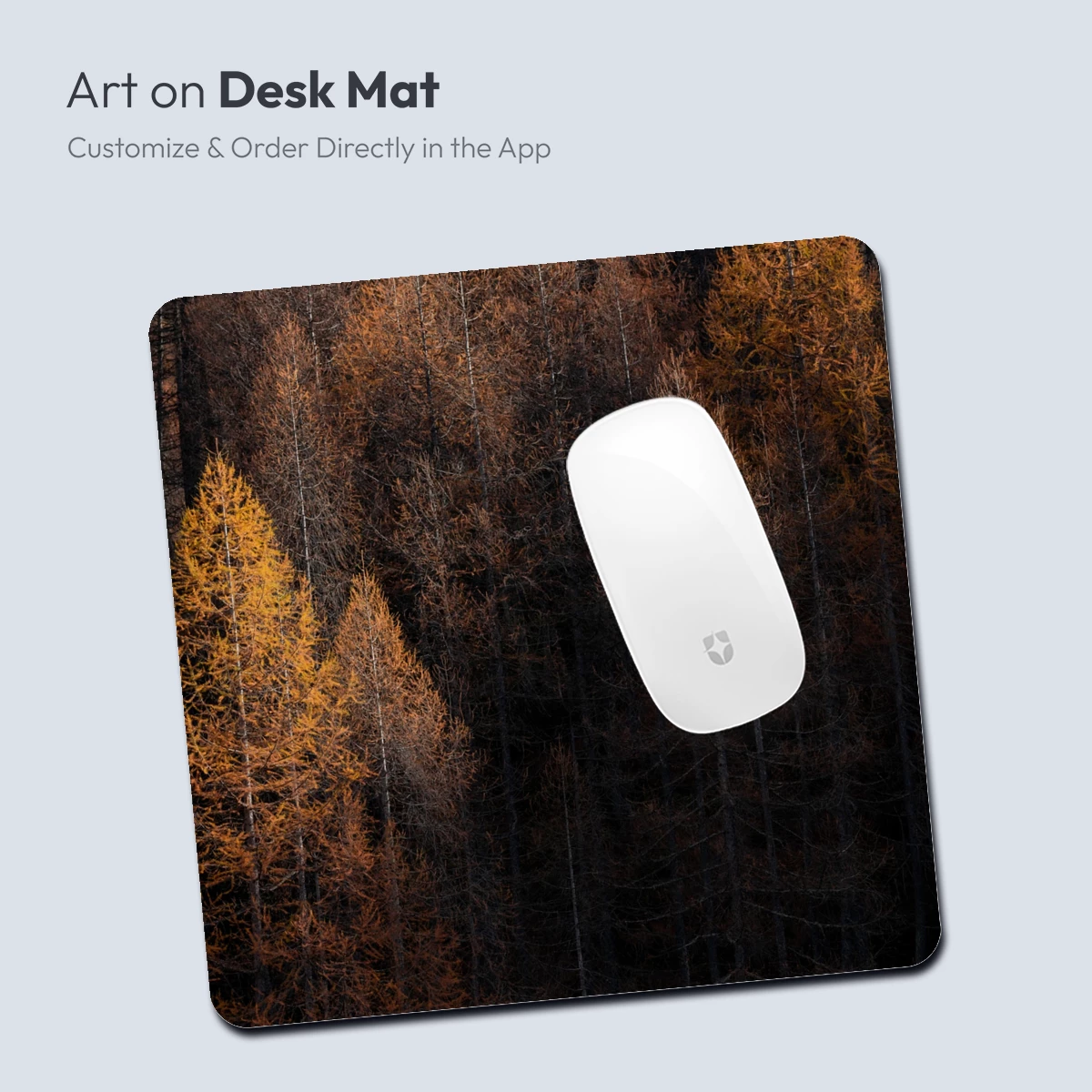 Autumnal Forest Symphony: Golden Hues and Shadows - Image 3