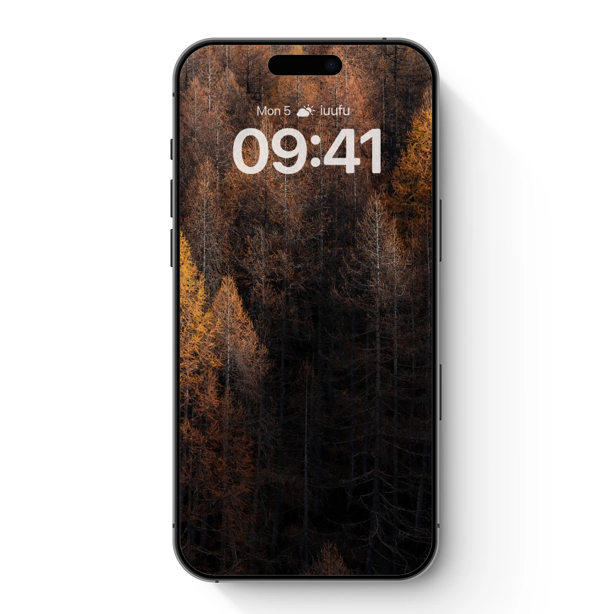 Autumnal Forest Symphony: Golden Hues and Shadows - Image 7